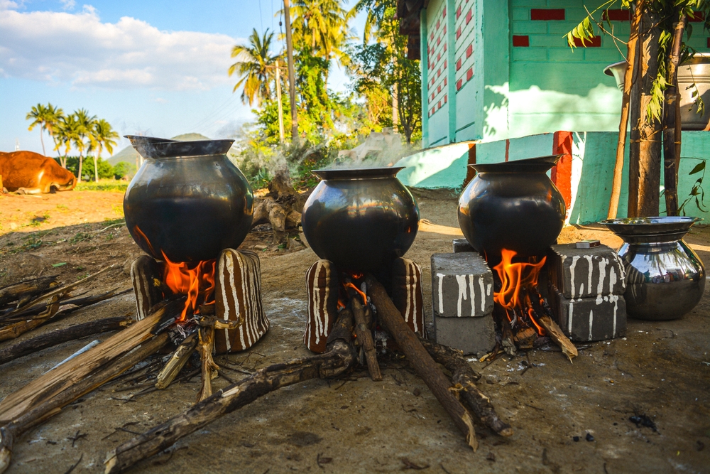 The-History-of-Pongal-A-Timeless-Tamil-Tradition