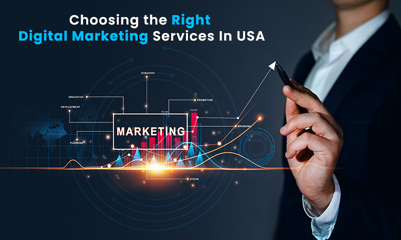 How to Choose the Right Digital Marketing Freelancer in the USA?