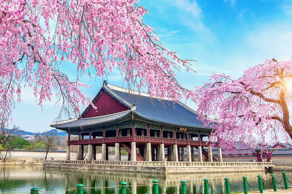 South Korea Image