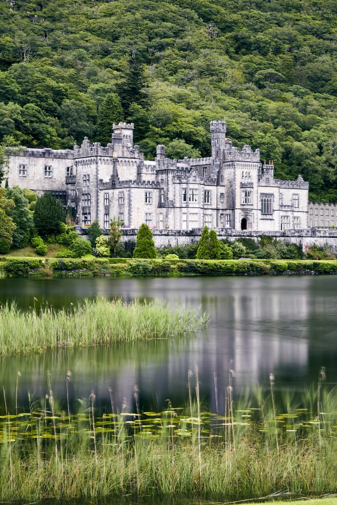 FAQ (Ireland)