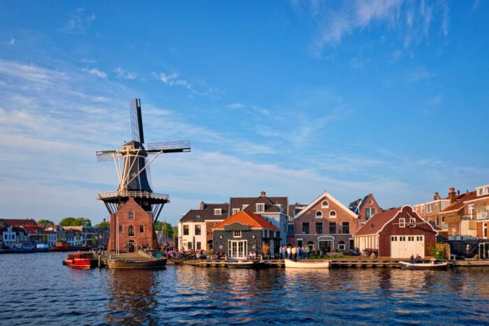 Understanding the Digital Landscape in Netherlands