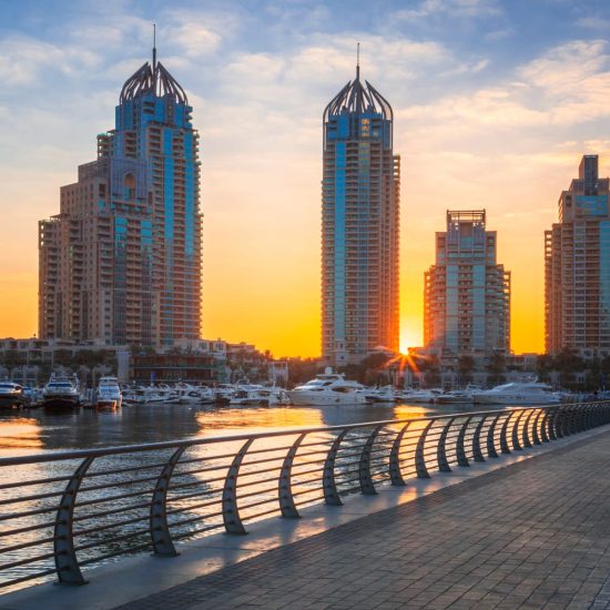 Why UAE Businesses Choose Digital Hari